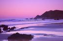 Nugget point,NZ 5/04